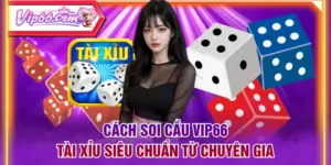 Cách Soi Cầu VIP66 Tài Xỉu Siêu Chuẩn Từ Chuyên Gia