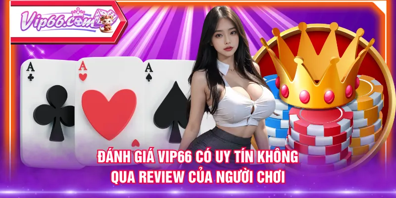Đánh giá VIP66 có uy tín không qua review của người chơi